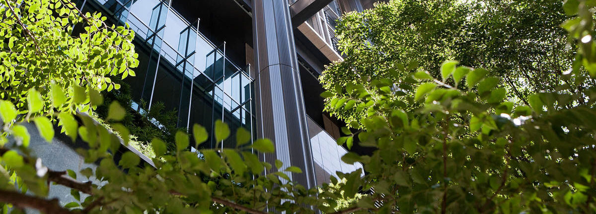 You are currently viewing Materiality, Enterprise Value & ESG Reporting